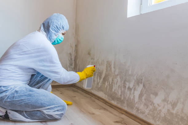 Mold Testing and Removal in Boiling Springs, NC