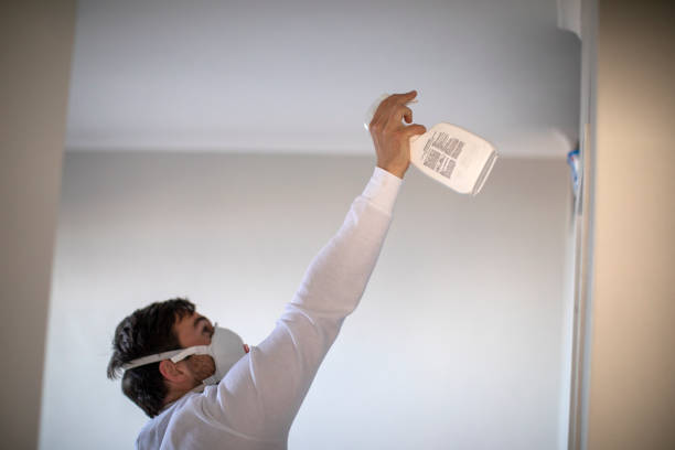 Best Toxic Mold Removal  in Boiling Springs, NC