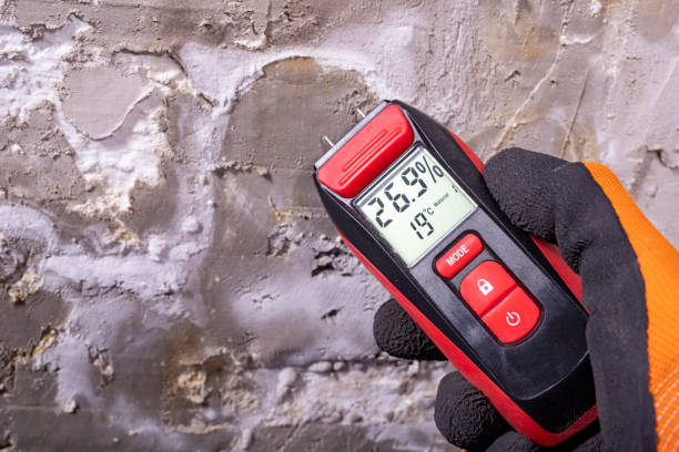 Best Professional Mold Removal  in Boiling Springs, NC