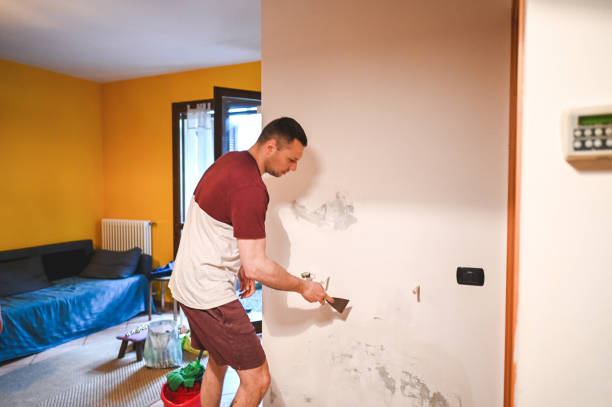 Best Residential Mold Removal  in Boiling Springs, NC